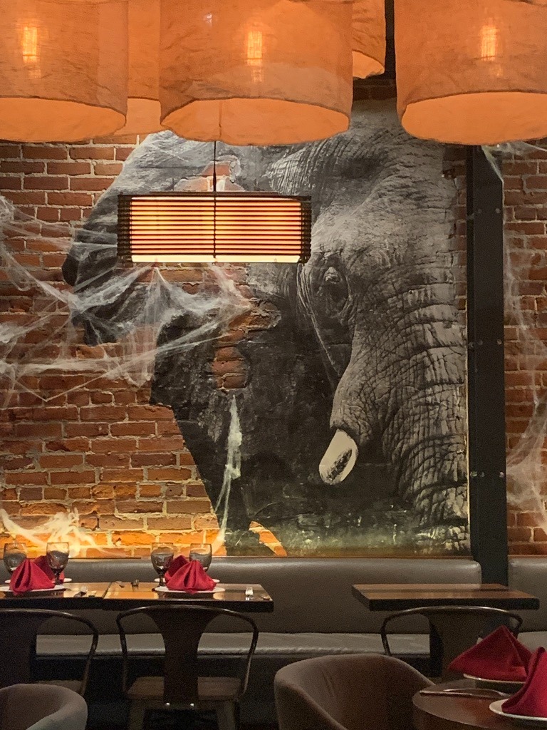 Different Chair. Same Elephant.